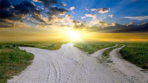 Fork-in-the-Road-300x169